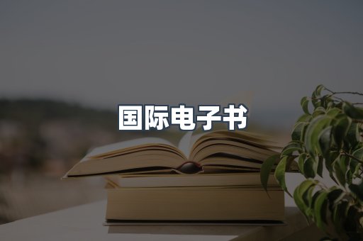 国际电子书